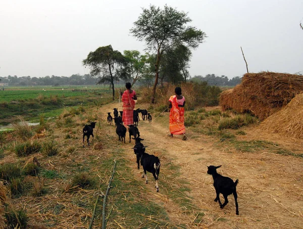 depositphotos_149503852-stock-photo-india-village-life